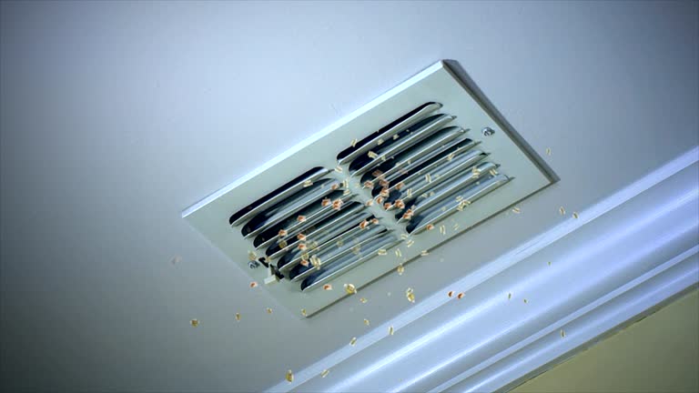 Best Air Duct Cleaning Company Near Me  in Orange, VA
