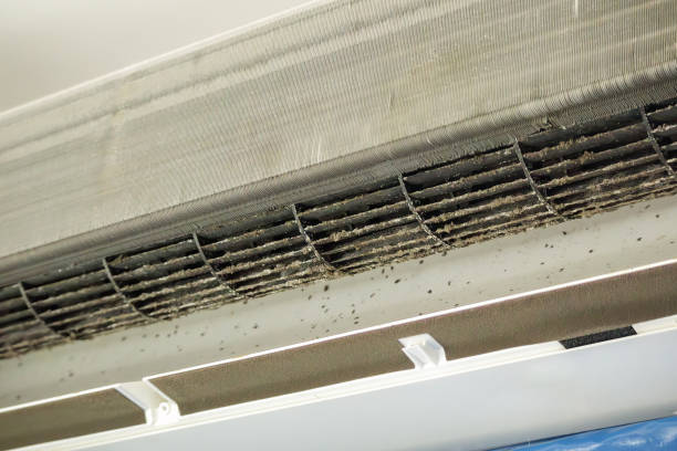 Best Duct Cleaning for Homes  in Orange, VA