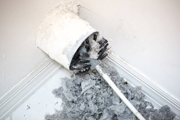 Best Professional Duct Cleaning Services  in Orange, VA